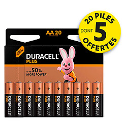 15 piles AA - LR6 Duracell Plus Power + 5 offertes