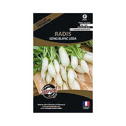 Sanrival Graines potagères premium radis Long blanc Leda