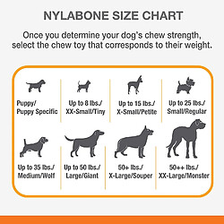 Nylabone Jouet à Mâcher Résistant Dura Os Dentaire Extra Texturisé Arôme Poulet pour Les Chiens de Taille Moyenne Jusqu'à 16 kg