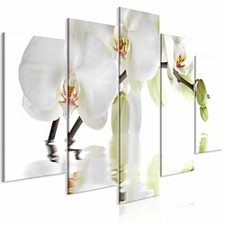 Paris Prix Tableau Imprimé 5 Panneaux Wonderful Orchid Wide 100 x 200 cm 