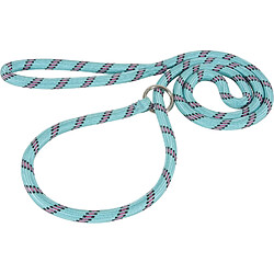 ZOLUX LAISSE NYLON CORDE LASSO POUR CHIEN 1.80M TURQUOISE