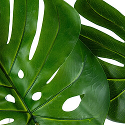 Avis Plante décorative Alexandra House Living Plastique Monstera 150 cm