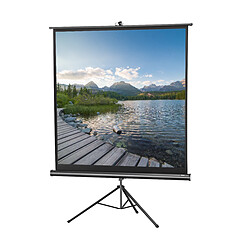 Ecran de projection sur pied celexon Economy 219 x 219 cm Ecran de projection sur pied celexon Economy 219 x 219 cm | Format 1:1