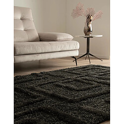 Avis Hadorn Tapis shaggy 245x160 noir Thun Artem