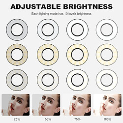 BESTA Concept 2 en 1 LED selfie anneau lumineux support de table léger support iPhone avec col de cygne léger support smartphone lumière selfie support téléphone mobile anneau selfie inclinable pour iOS/Android pas cher