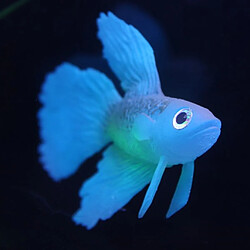 Silicone Artificielle Douce Rougeoyant Effet Betta Poissons D'aquarium Réservoir Décor Bleu