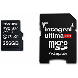 Integral Carte mémoire 256 Go INMSDX256G-100/90V30