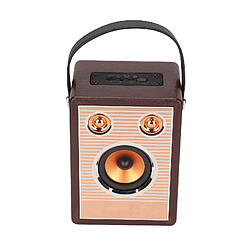 ComfortXL Enceinte bluetooth rechargeable avec support de carte mémoire aux, enceinte sans fil portable rétro avec poignée en bois grain marron (version export) 