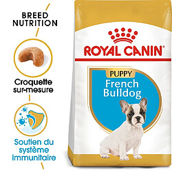 Croquettes pour chien