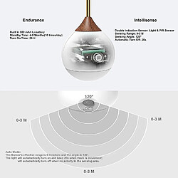 Acheter Universal Lumière de nuit à LED, lumière de nuit automatique avec capteur de crépuscule, recharge USB, sans prise, utilisable à la maison ou au bureau, (bois)