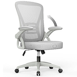 BIGZZIA Chaise de Bureau Ergonomique Siège - Fauteuil avec 2D Accoudoirs - Support lombaire - Réglable en hauteur Gris