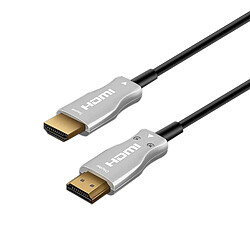 Câble HDMI Ewent