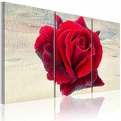 Paris Prix Tableau Imprimé Lyrical Rose 40 x 60 cm