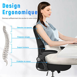 Acheter BIGZZIA Chaise de Bureau - Ergonomique Fauteuil - avec accoudoir rabattable à 90° - Support lombaire - Réglable en hauteur Noir