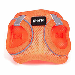 Acheter Harnais pour Chien Gloria Air Mesh Trek Star Réglable Orange L (33,4-35 cm)