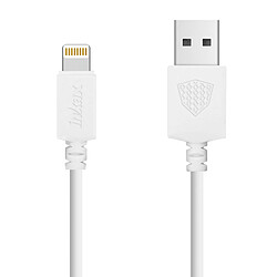 Avis Inkax Câble Lightning 3m Câble USB vers Lightning Charge Synchronisation 2.1A