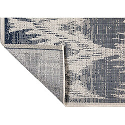 Avis Vivaraise Tapis extérieur en polypropylène Tessa 200 x 290 cm.