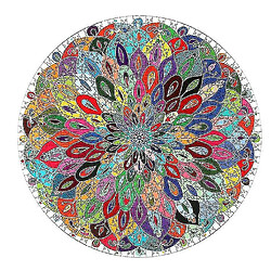 Universal Copoz Couleur Mandala Puzzle Puzzle Forme Unique Puzzle Adulte Enfant Jouet Cadeau