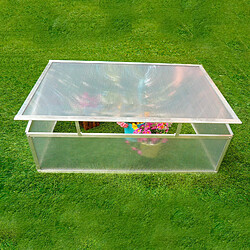 Serre de Jardin Gardiun Jaca I Monopente 56x108x40 cm Polycarbonate Transparent