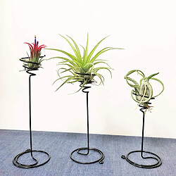 BESTA pièces Support de Support de Plante aérienne, 3 Tailles Support de Fleur en Spirale de Fer Noir, Support de Tillandsia de conteneur de Plante d'air pour l'affichage pas cher