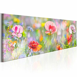 Paris Prix Tableau Imprimé Rainbow of Morning Poppies 40 x 120 cm 