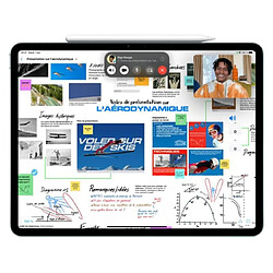 Apple Stylet Pencil Pro pour iPad Pro M4 et iPad Air M2