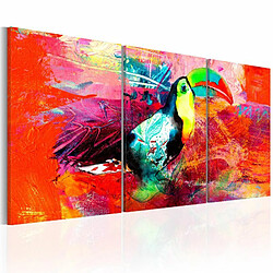 Paris Prix Tableau Imprimé Colourful Toucan 30 x 60 cm 