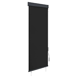 vidaXL Store roulant d'extérieur 60 x 250 cm Anthracite