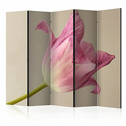 Paris Prix Paravent 5 Volets Pink Tulip 172x225cm