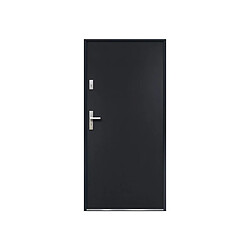 Vente-Unique Porte d'entrée en acier pleine H207 x L100 cm anthracite - poussant droit - AGUEDA