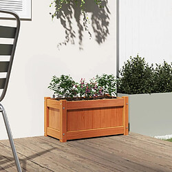 Avis Maison Chic Jardinière,Bac à fleurs - pot de fleur cire marron 60x31x31 cm bois de pin massif -GKD74388