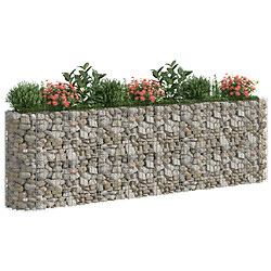 Avis Maison Chic Jardinière,Lit surélevé - Bac à fleurs - pot de fleur à gabion Fer galvanisé 330x50x100 cm -GKD95501