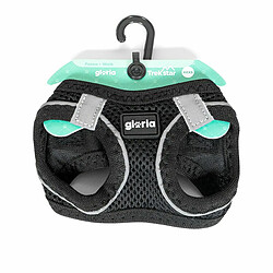 Equipement de transport pour chien