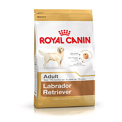 Royal Canin Race Labrador Retriever Adult