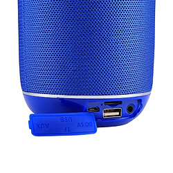 Acheter Wewoo Enceinte Bluetooth Haut-parleur stéréo sans fil V4.2 avec poignée, microphone intégré, prise en charge des appels mains libres, carte TF et AUX IN FM, Distance: 10m ACH-658001