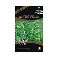 Sanrival Graines de fleurs premium molucelle clochette d'Irlande