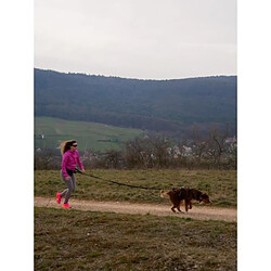 Equipement de transport pour chien