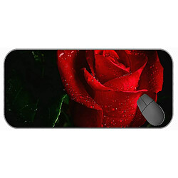 Universal (750x300x3) Tampon de souris de jeu extra large, centaines de fleurs, tapis de souris de roses naturelles