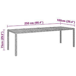 vidaXL Table de jardin gris 250x100x75 cm résine tressée/bois d'acacia pas cher