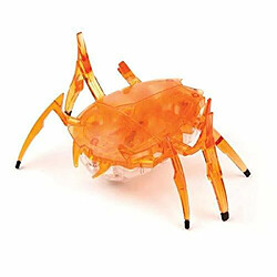 ScarabAe HEXBUg (la couleur peut varier) 