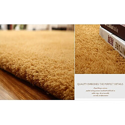 Avis LUUCOZK Tapis moelleux en fausse fourrure Tapis à poils longs pour chambre à coucher Salon-Café-50x120cm