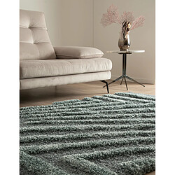 Avis Hadorn Tapis shaggy 305x240 Bleu Thun Avis