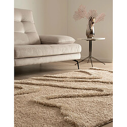 Acheter Hadorn Tapis shaggy 305x240 brun Thun Arbor