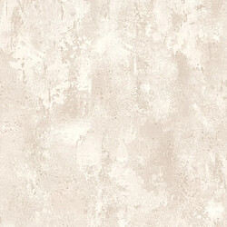 DUTCH WALLCOVERINGS Papier peint Beige béton TP1011