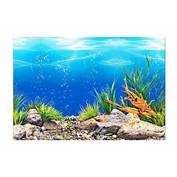 Affiche De Fond D'aquarium De PVC D'océan Paysage De Décoration De Réservoir De Poissons 60x102cm