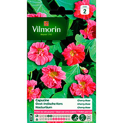 Graines Capucine Cherry Rose VILMORIN