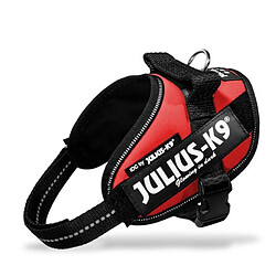 JULIUS K9 Harnais Power IDC Mini–M : 49–67 cm - 22 mm - Rouge - Pour chien JULIUS K9 Harnais Power IDC Mini?M : 49?67 cm - 22 mm - Rouge - Pour chien