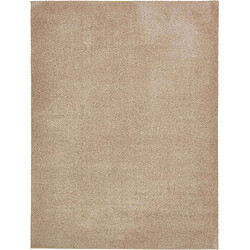 Hadorn Tapis shaggy 274x183 beige Luzern 