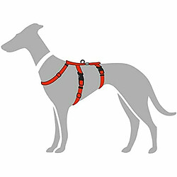 Acheter Harnais pour Chien Hunter 48-70 cm Rouge S/M 36-51 cm