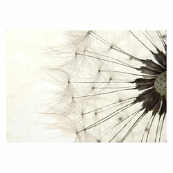 Paris Prix Papier Peint White Dandelion 105 x 150 cm